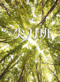 成人a视频在线观看